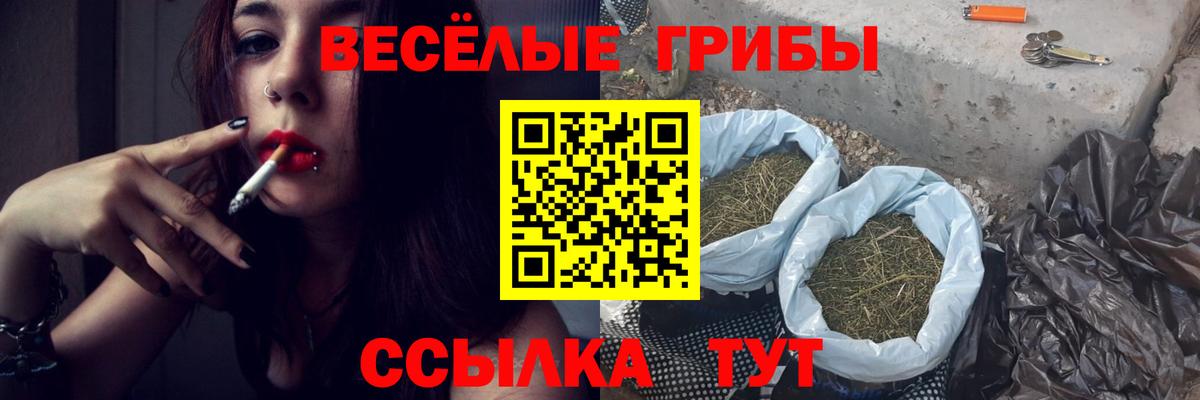 Псилоцибиновые грибы MAGIC MUSHROOMS Семёнов